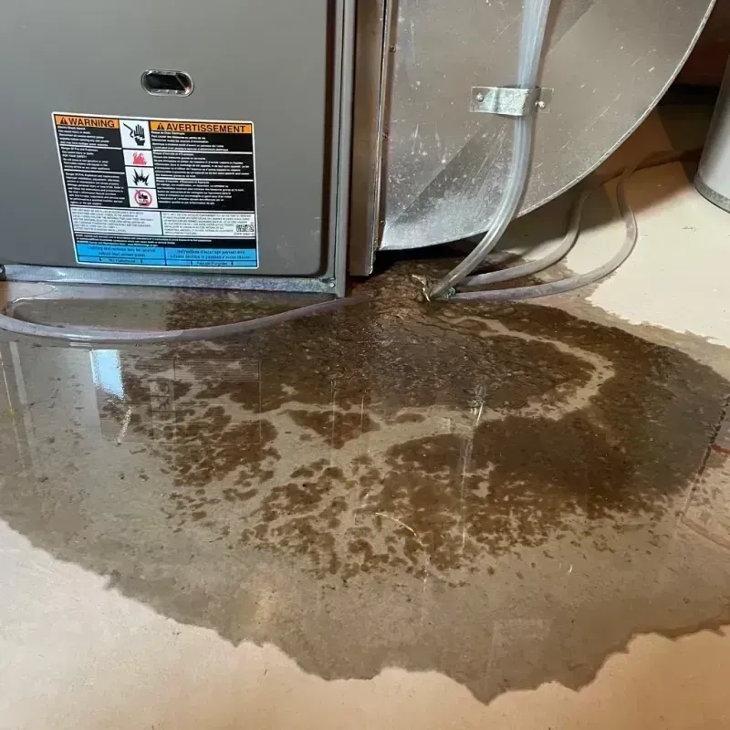 Appliance Leak Cleanup in Pasadena, TX